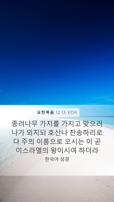 요한복음 12:13 KOR Bible Verse Image