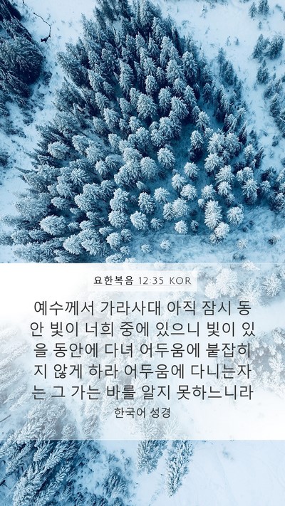 요한복음 12:35 KOR Bible Verse Image