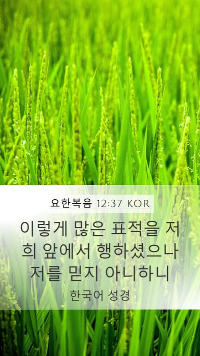 요한복음 12:37 KOR Bible Verse Image
