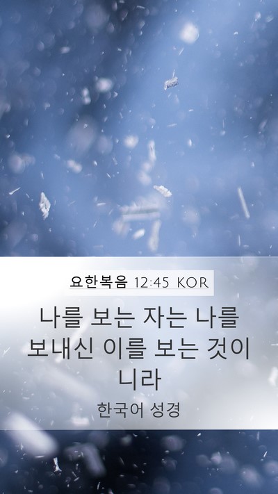 요한복음 12:45 KOR Bible Verse Image