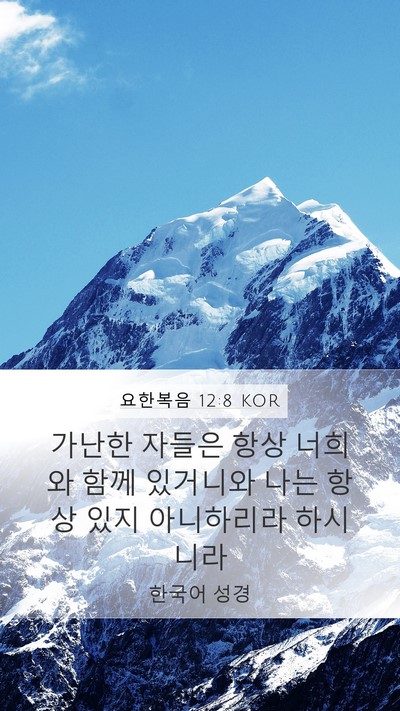 요한복음 12:8 KOR Bible Verse Image