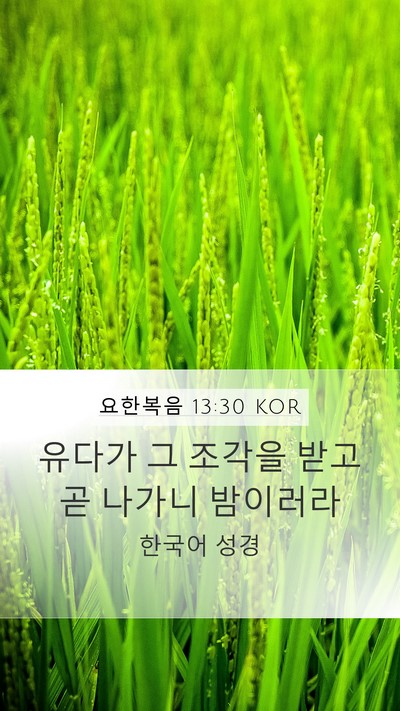 요한복음 13:30 KOR Bible Verse Image