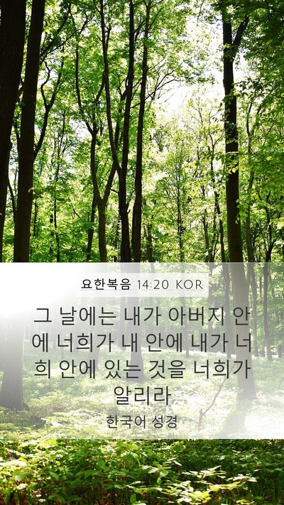 요한복음 14:20 KOR Bible Verse Image