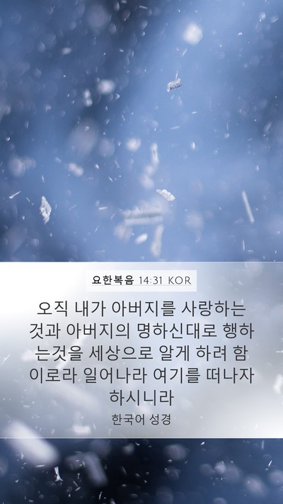 요한복음 14:31 KOR Bible Verse Image