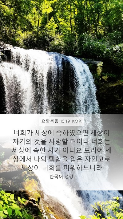 요한복음 15:19 KOR Bible Verse Image