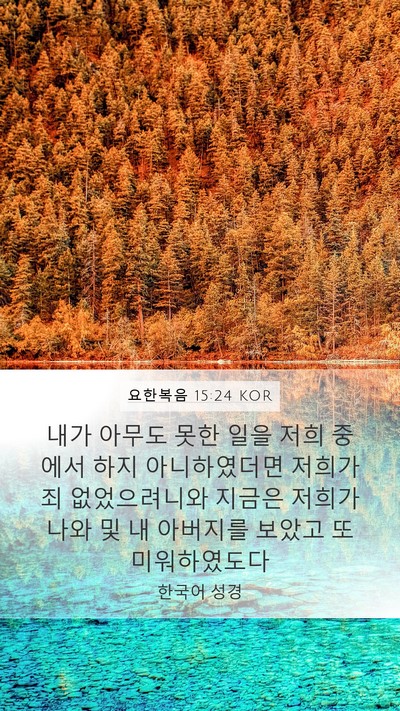 요한복음 15:24 KOR Bible Verse Image