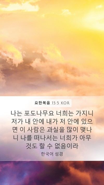 요한복음 15:5 KOR Bible Verse Image