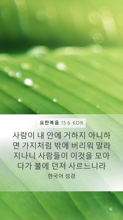 요한복음 15:6 KOR Bible Verse Image
