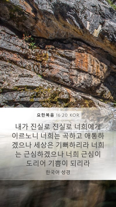 요한복음 16:20 KOR Bible Verse Image