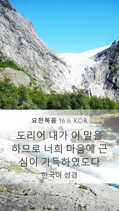 요한복음 16:6 KOR Bible Verse Image