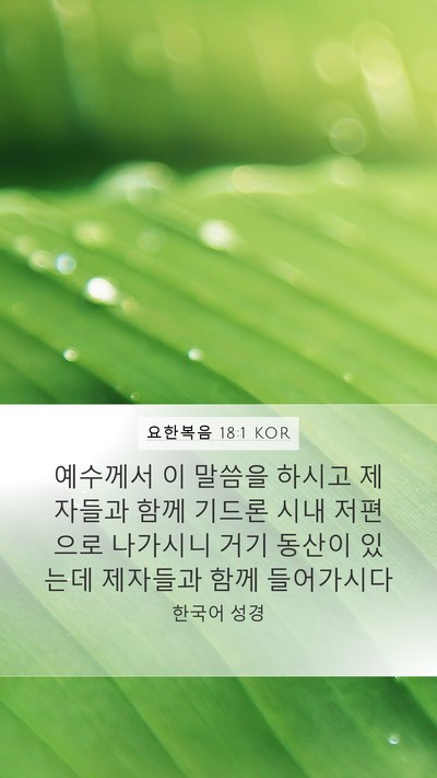 요한복음 18:1 KOR Bible Verse Image