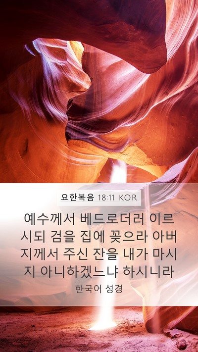 요한복음 18:11 KOR Bible Verse Image