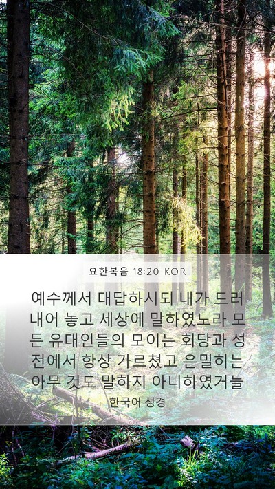 요한복음 18:20 KOR Bible Verse Image