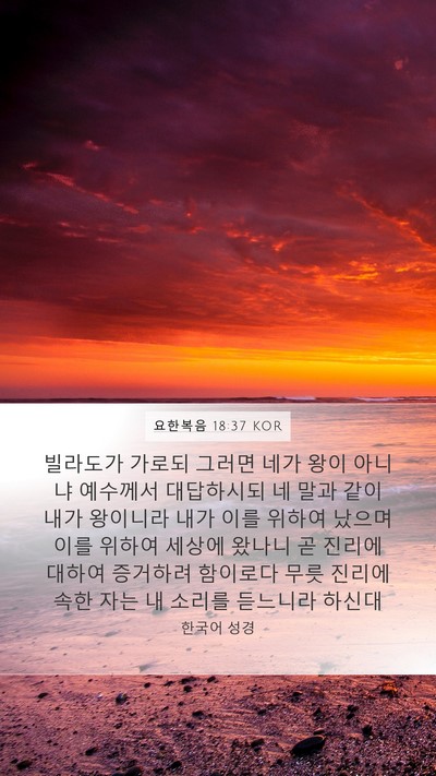 요한복음 18:37 KOR Bible Verse Image