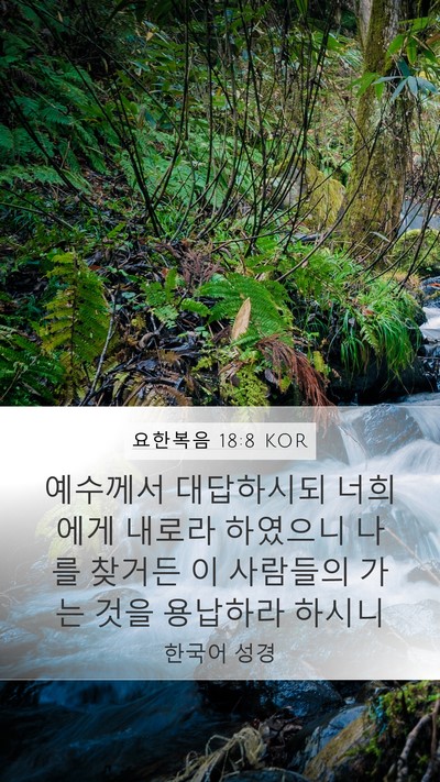 요한복음 18:8 KOR Bible Verse Image