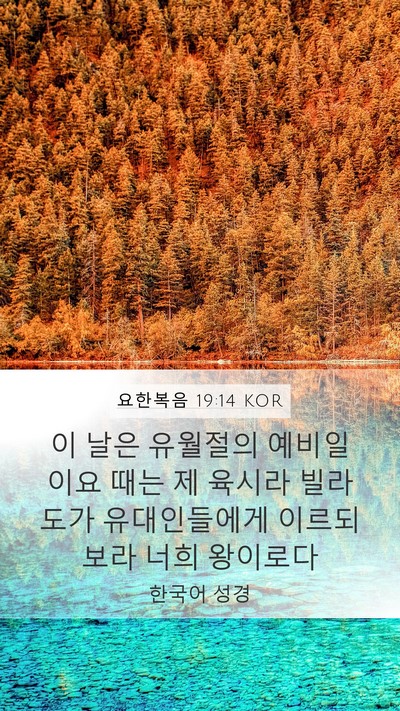 요한복음 19:14 KOR Bible Verse Image