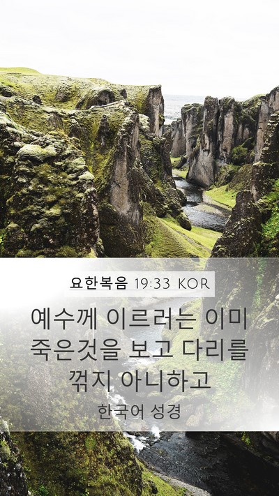 요한복음 19:33 KOR Bible Verse Image