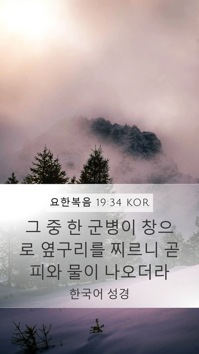 요한복음 19:34 KOR Bible Verse Image