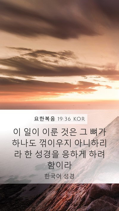 요한복음 19:36 KOR Bible Verse Image