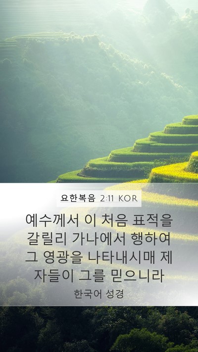 요한복음 2:11 KOR Bible Verse Image