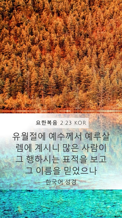 요한복음 2:23 KOR Bible Verse Image