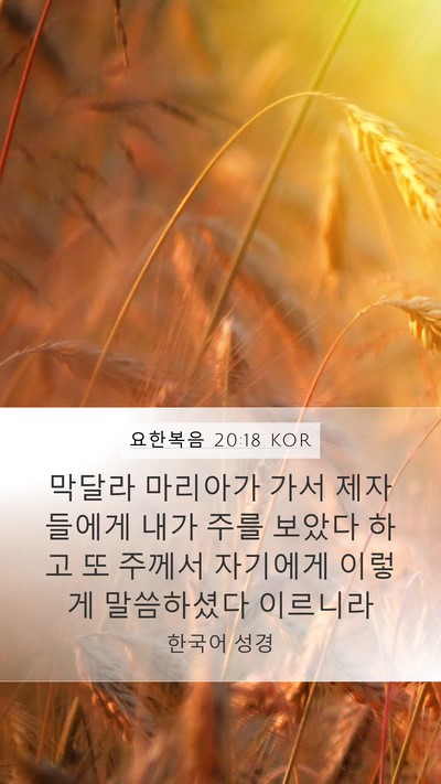 요한복음 20:18 KOR Bible Verse Image