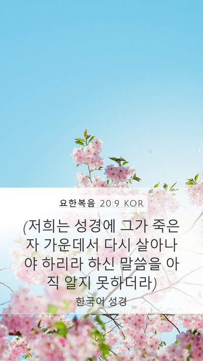 요한복음 20:9 KOR Bible Verse Image