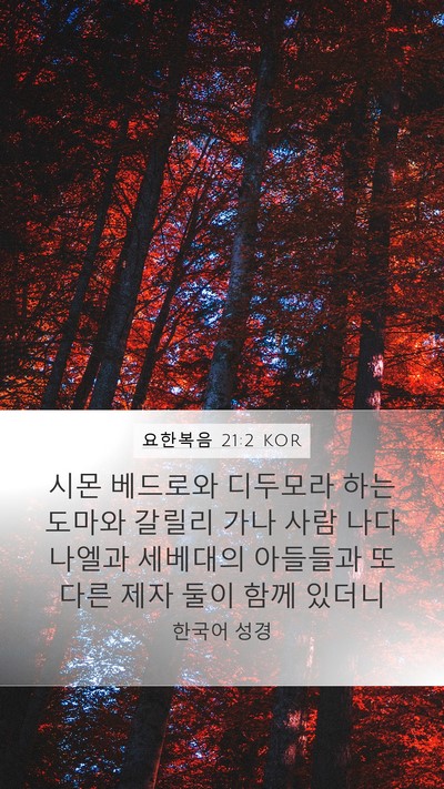 요한복음 21:2 KOR Bible Verse Image