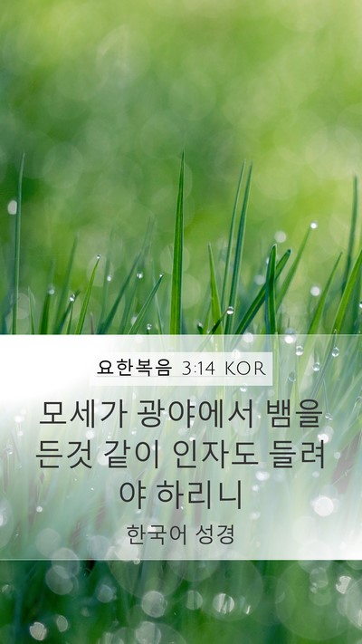 요한복음 3:14 KOR Bible Verse Image