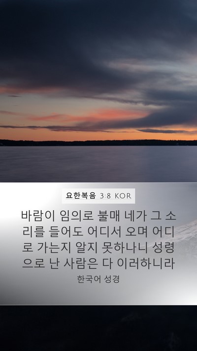 요한복음 3:8 KOR Bible Verse Image
