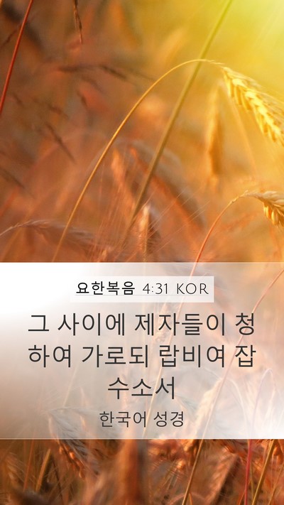 요한복음 4:31 KOR Bible Verse Image