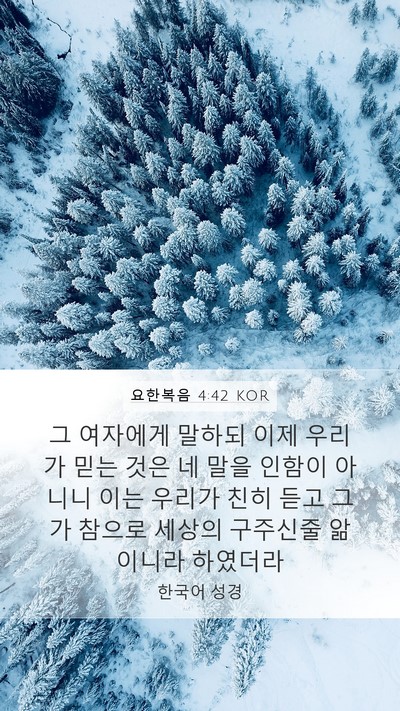 요한복음 4:42 KOR Bible Verse Image
