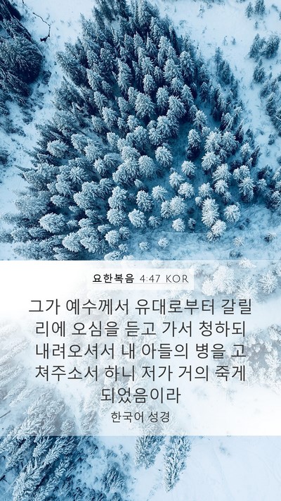 요한복음 4:47 KOR Bible Verse Image
