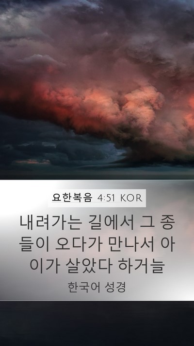요한복음 4:51 KOR Mobile Phone Wallpaper - 내려가는 길에서 그 종들이 오다가 - Mobile Bible Verse Wallpaper