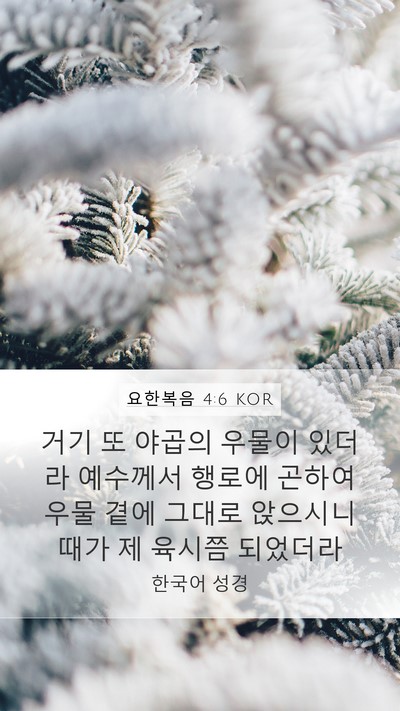 요한복음 4:6 KOR Bible Verse Image