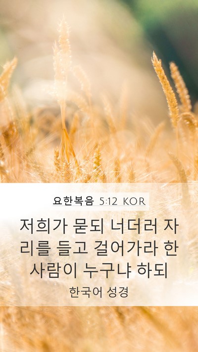 요한복음 5:12 KOR Mobile Phone Wallpaper - 저희가 묻되 너더러 자리를 들고 - Mobile Bible Verse Wallpaper