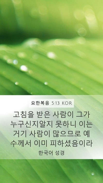 요한복음 5:13 KOR Bible Verse Image