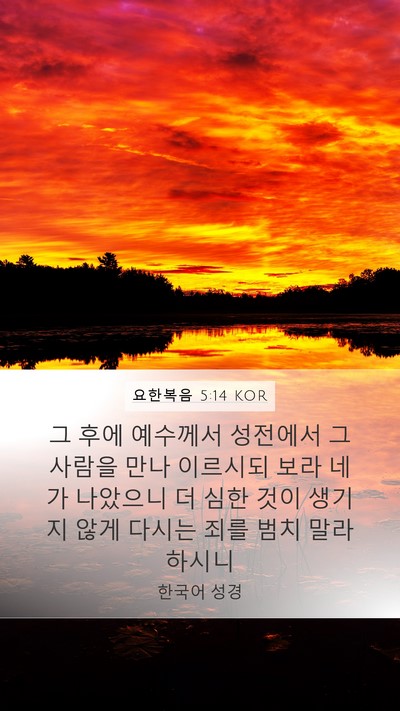 요한복음 5:14 KOR Bible Verse Image