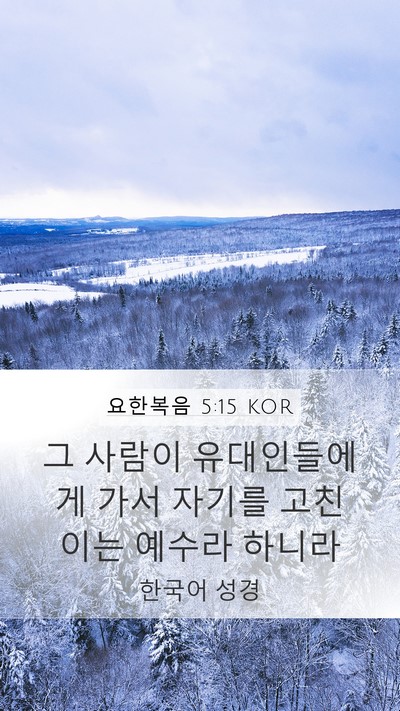 요한복음 5:15 KOR Bible Verse Image