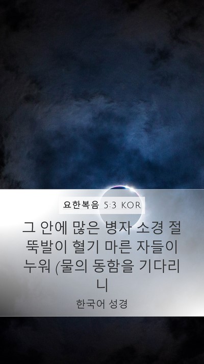 요한복음 5:3 KOR Bible Verse Image