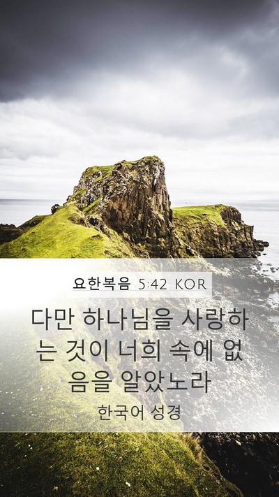 요한복음 5:42 KOR Bible Verse Image