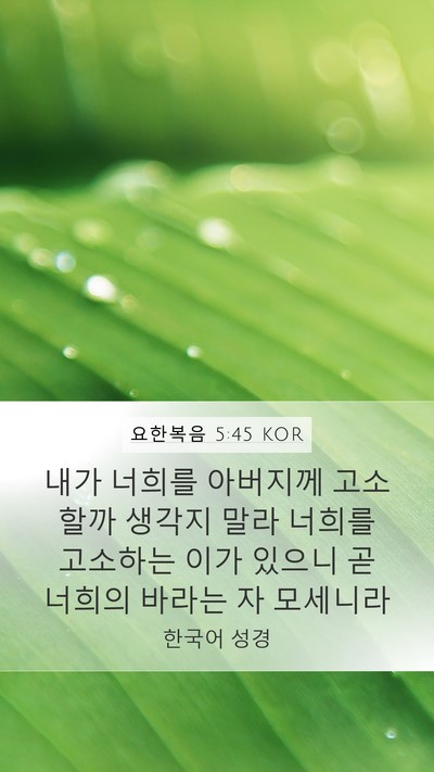 요한복음 5:45 KOR Bible Verse Image