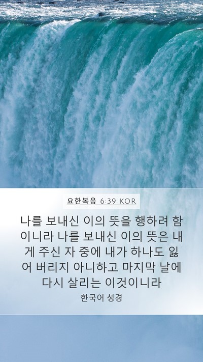 요한복음 6:39 KOR Bible Verse Image