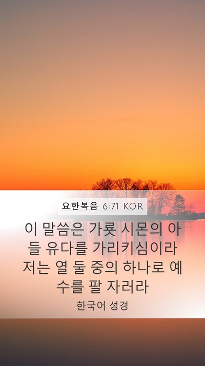 요한복음 6:71 KOR Bible Verse Image