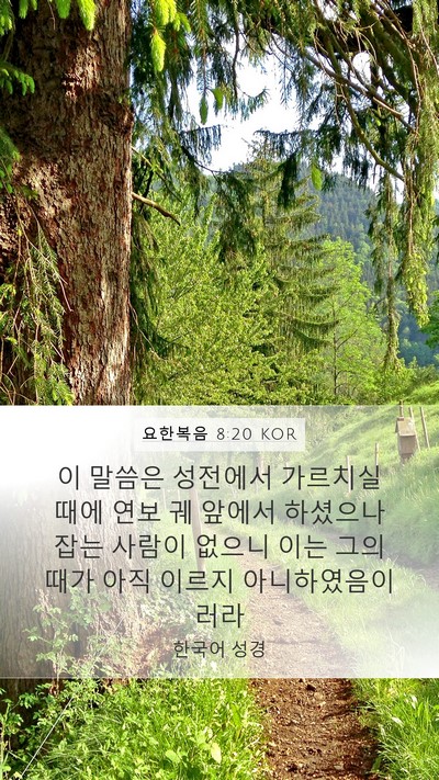 요한복음 8:20 KOR Bible Verse Image