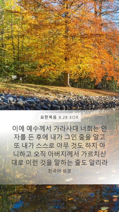 요한복음 8:28 KOR Bible Verse Image