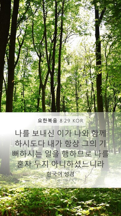 요한복음 8:29 KOR Bible Verse Image