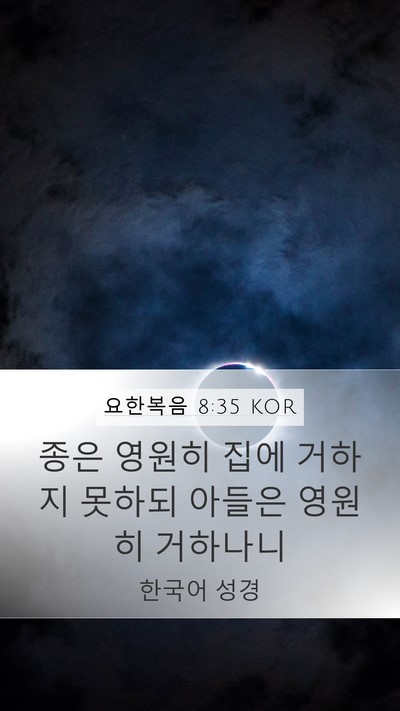 요한복음 8:35 KOR Bible Verse Image