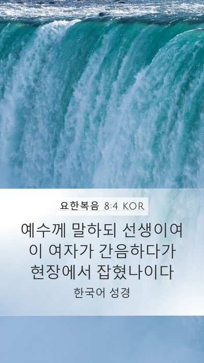 요한복음 8:4 KOR Bible Verse Image