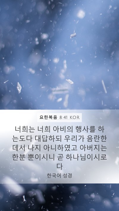 요한복음 8:41 KOR Bible Verse Image